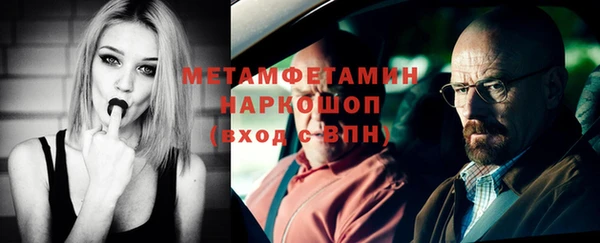 индика Горно-Алтайск