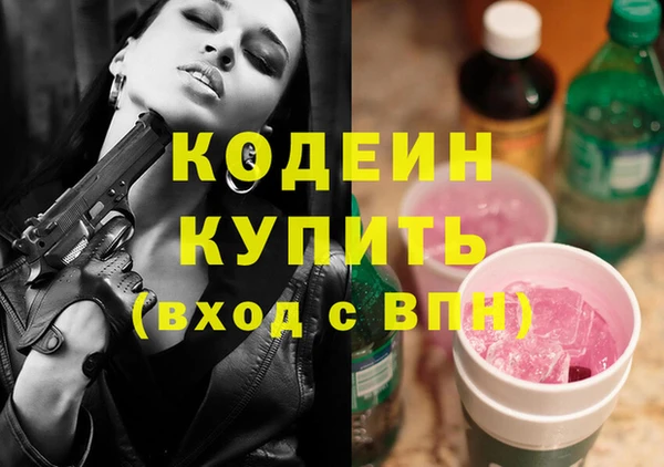 индика Горно-Алтайск