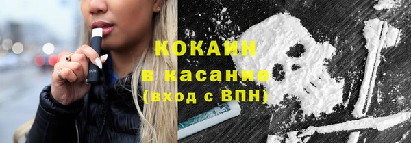 индика Горно-Алтайск