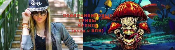 индика Горно-Алтайск